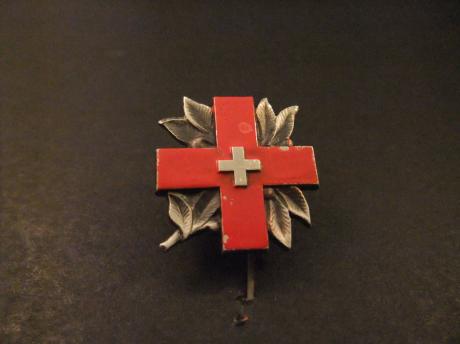 Rode Kruis logo met zilverblad,
